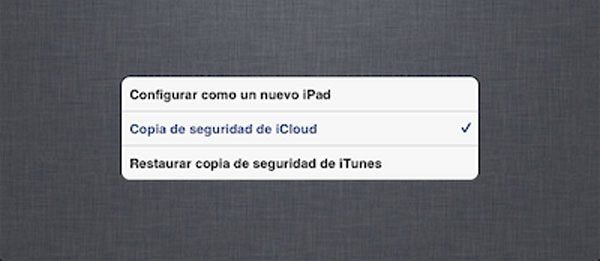 Copia seguridad iPhone 04