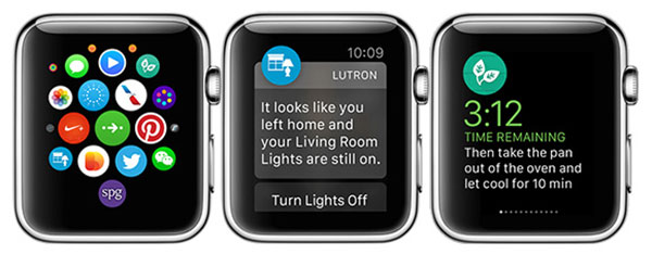 Apple Watch SDK