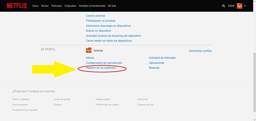configuracion subtitulos netflix 2