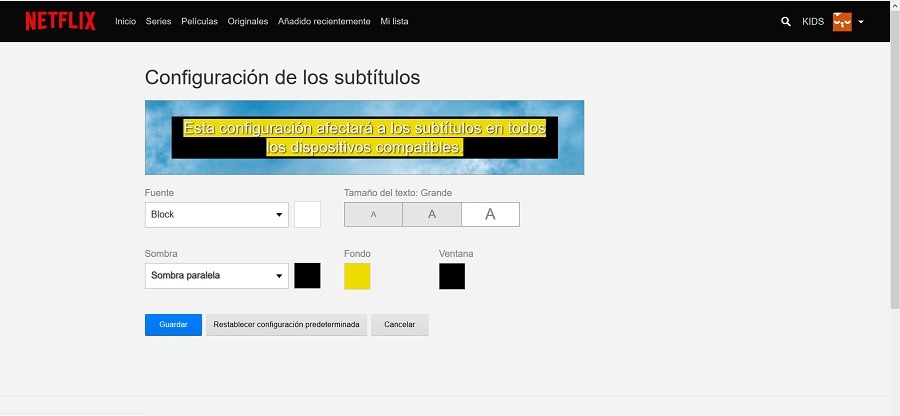 configuracion subtitulos netflix