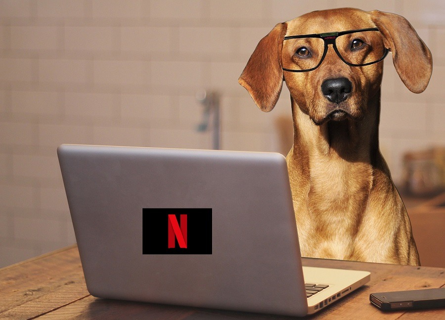 Cómo eliminar ‘Seguir viendo’ de tu lista de Netflix