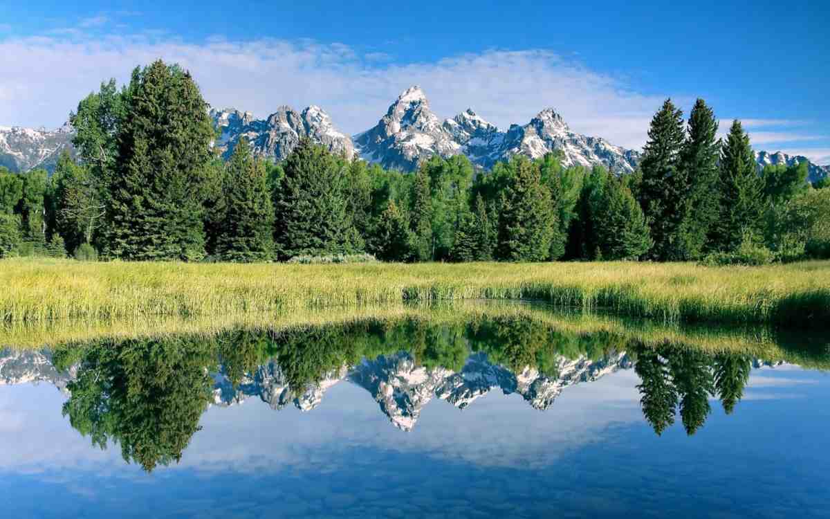 Paisaje con reflejos