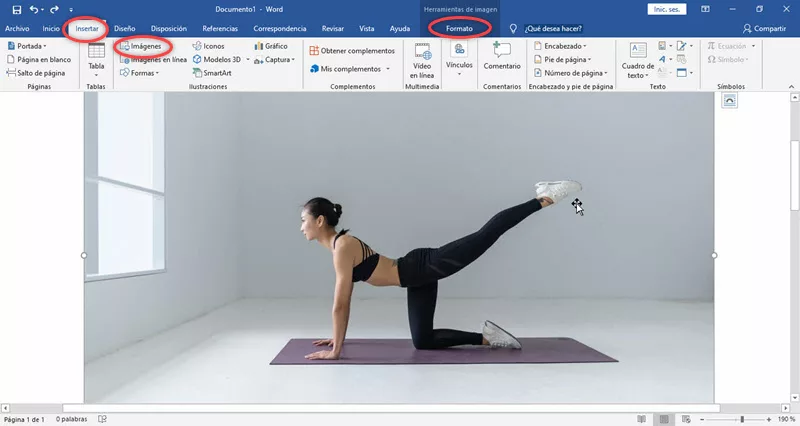Como Quitar El Fondo De Una Imagen Con Word 2019